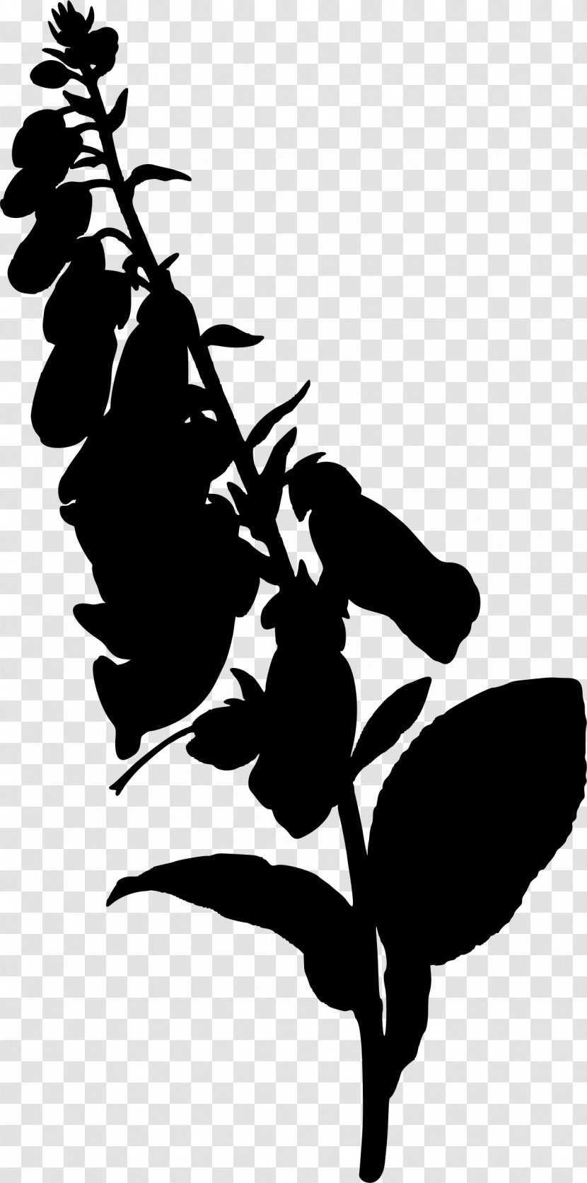 Foxgloves Silhouette - Medicinal Plants - Osmanthus Flower Transparent PNG