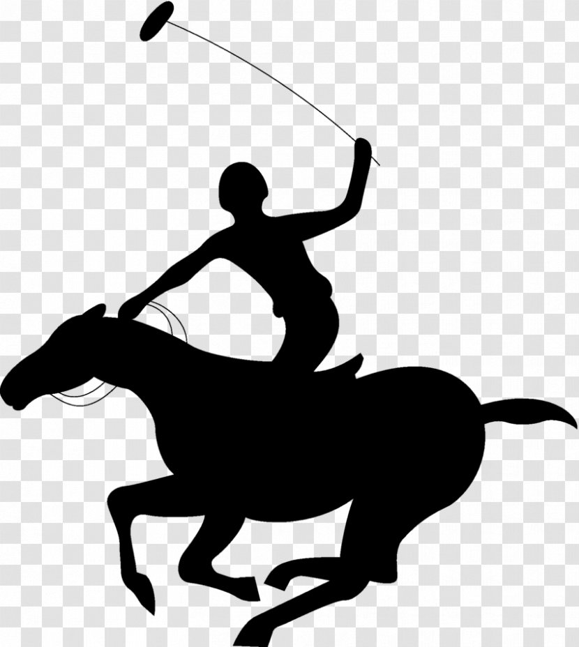 Horse Acoaxet Polo Club Clip Art - Sport Transparent PNG