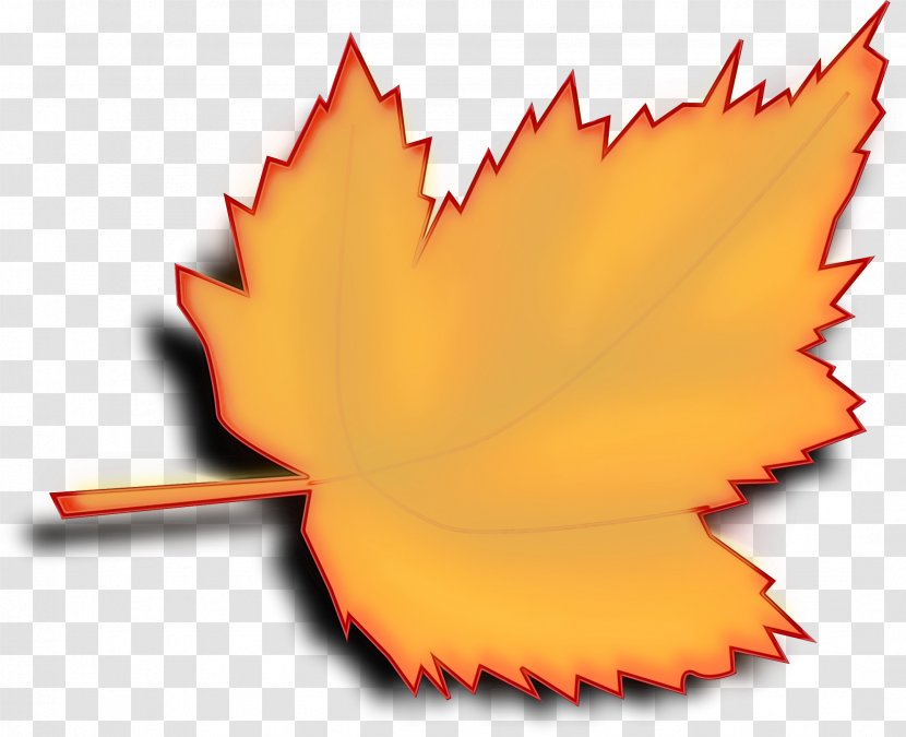 Maple Leaf - Plane - Plant Transparent PNG