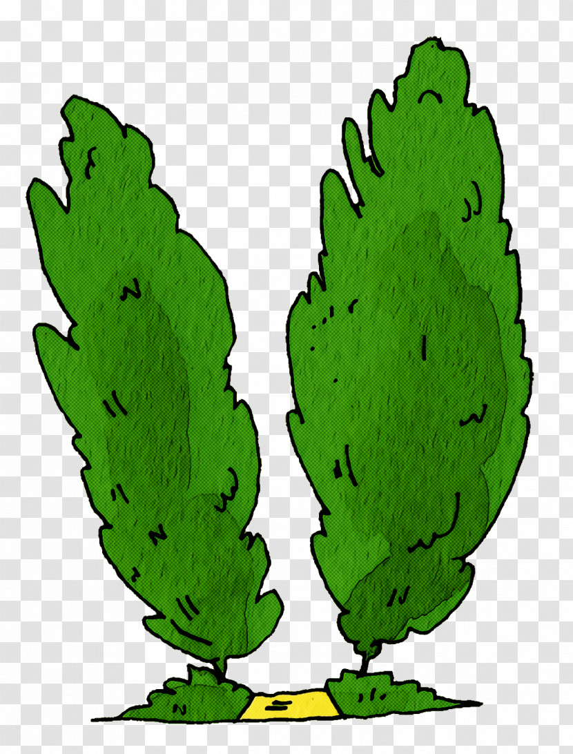 Cactus Transparent PNG