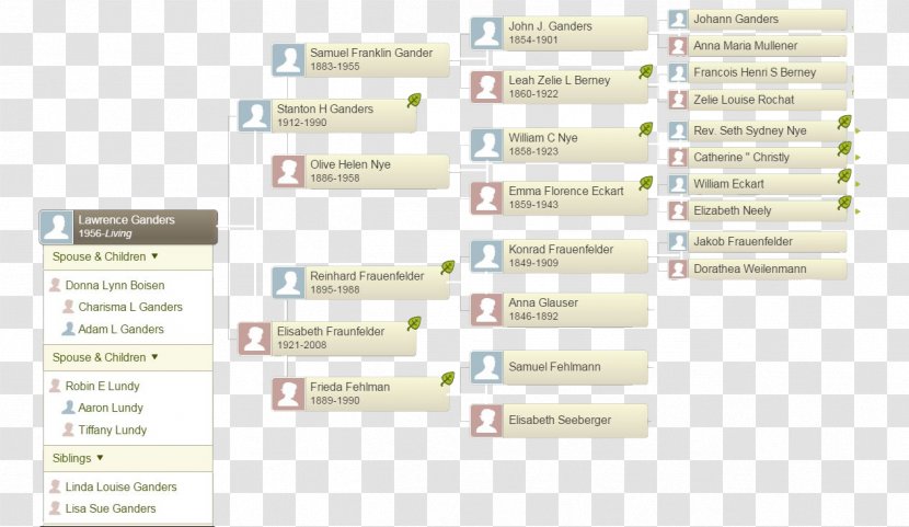Family Tree Genealogy MyHeritage Ancestor - Myheritage Transparent PNG