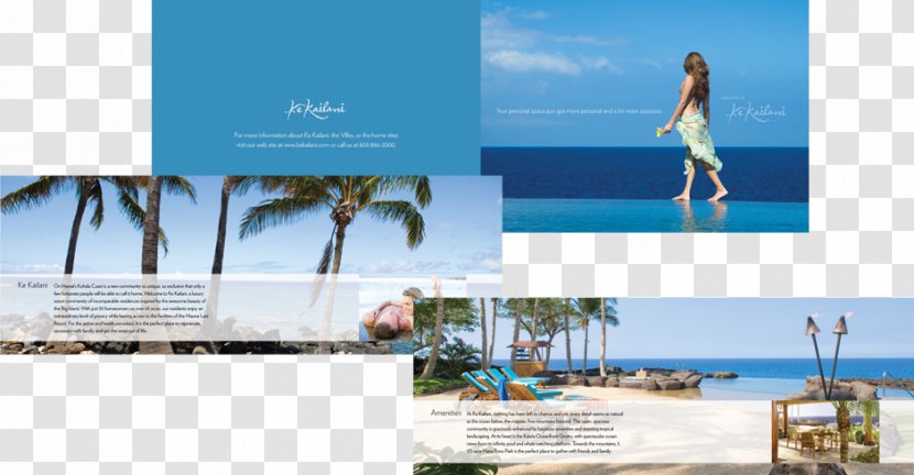 Team Vision Marketing Agency Advertising Brand - Vacation - Brochure Transparent PNG