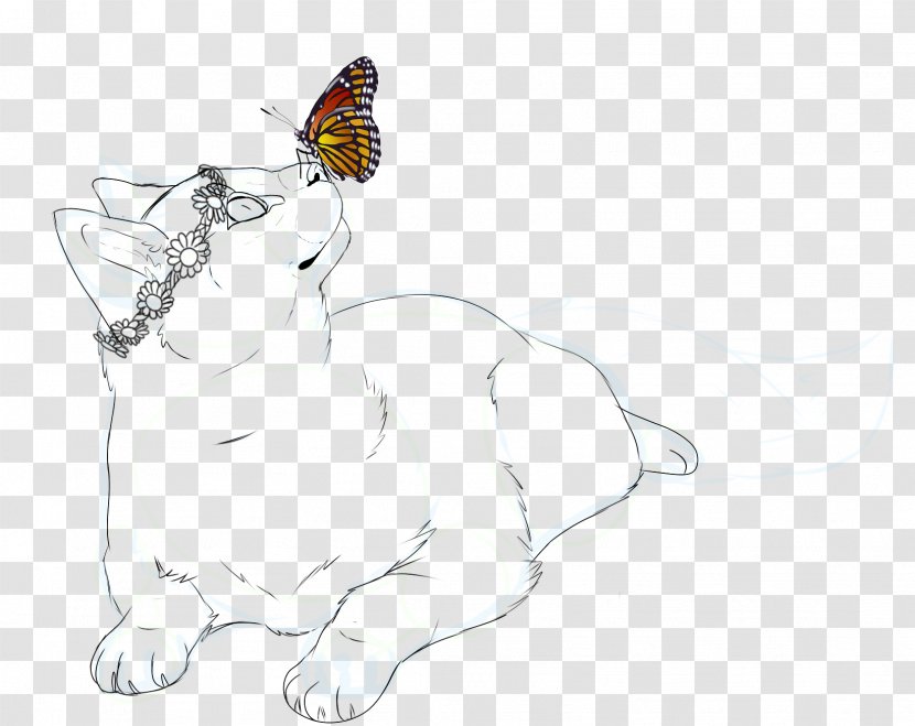 Whiskers Cat Clip Art Line Sketch - Dog Like Mammal Transparent PNG