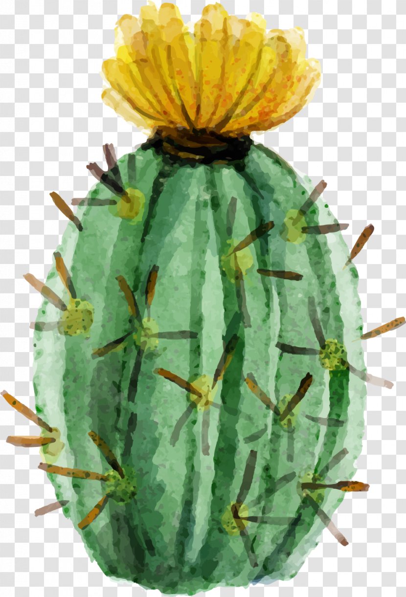 Cactaceae Watercolor Painting Succulent Plant - Flowering - Painted Fleshy Cactus Transparent PNG