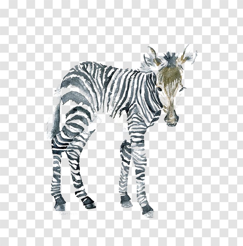 The Art Of Painting Zebra Watercolor Canvas - Mammal Transparent PNG