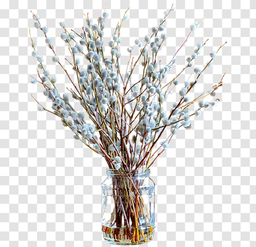 Willow Tulip Flower Tree Palm Sunday Transparent PNG