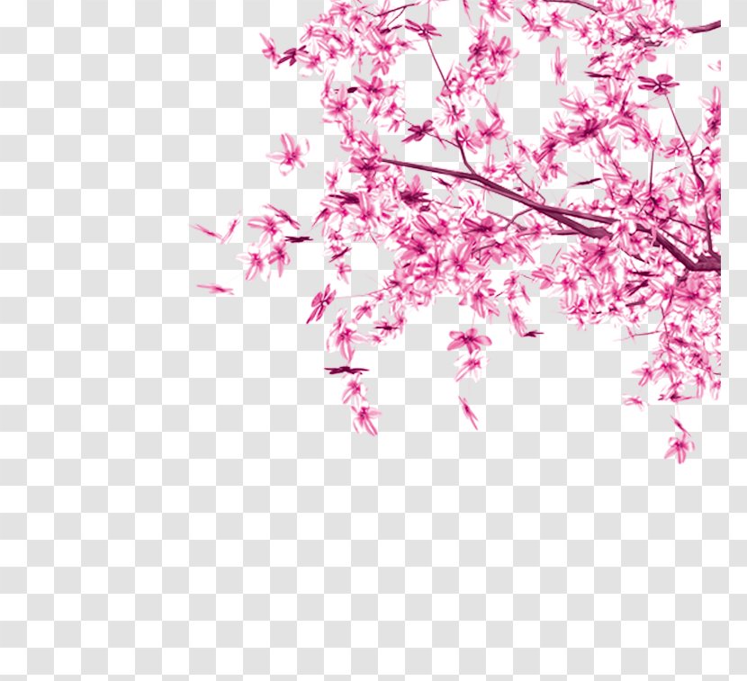 Cherry Blossom Pink Tree Leaf - Leaves Transparent PNG