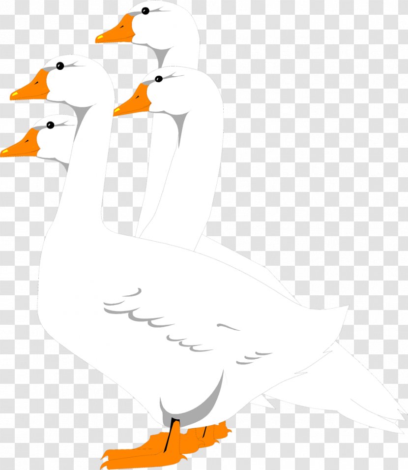 Goose Bird Flock Clip Art - Poultry Transparent PNG