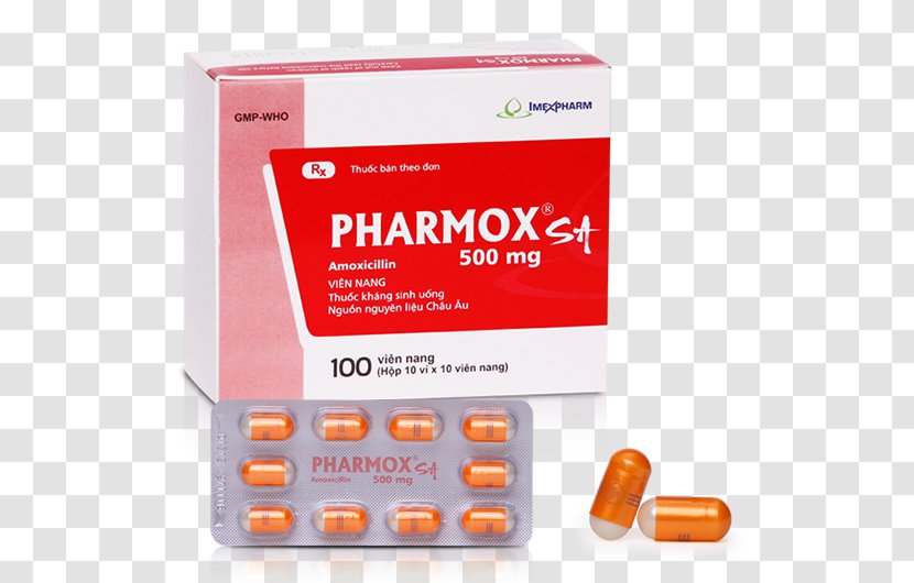 Amoxicillin Cefaclor Antibiotics Trimethoprim/sulfamethoxazole Excipient - Sulfonamide - Hoa Sứ Transparent PNG