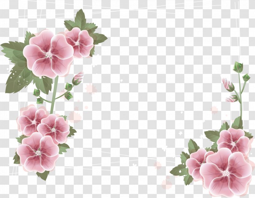 Stock Photography Flower Royalty-free Clip Art - Annual Plant - Pink Border Transparent PNG