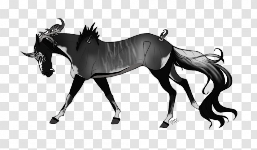 Mane Foal Mustang Mare Stallion - Animal Figure Transparent PNG