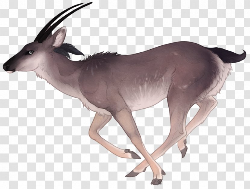 Deer Vector Graphics Gemsbok Watercolor Painting Transparent PNG