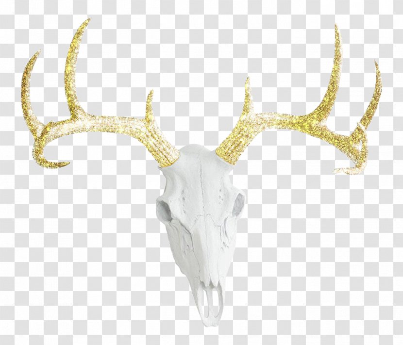 White-tailed Deer Antler Bison Color Transparent PNG