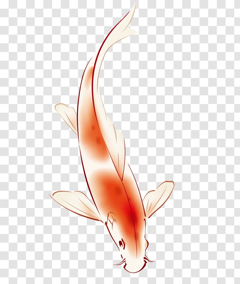 Common Carp Chinese New Year Image Art Sina Weibo - Avata Button Transparent PNG