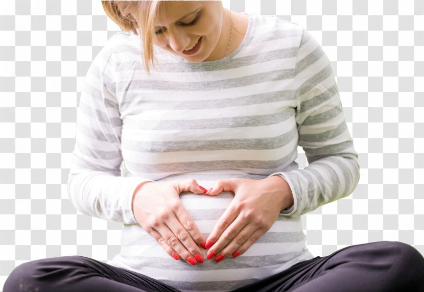 Pregnancy Health Care Disease Fertilisation - Frame - Sleep Cycle Calculator Transparent PNG