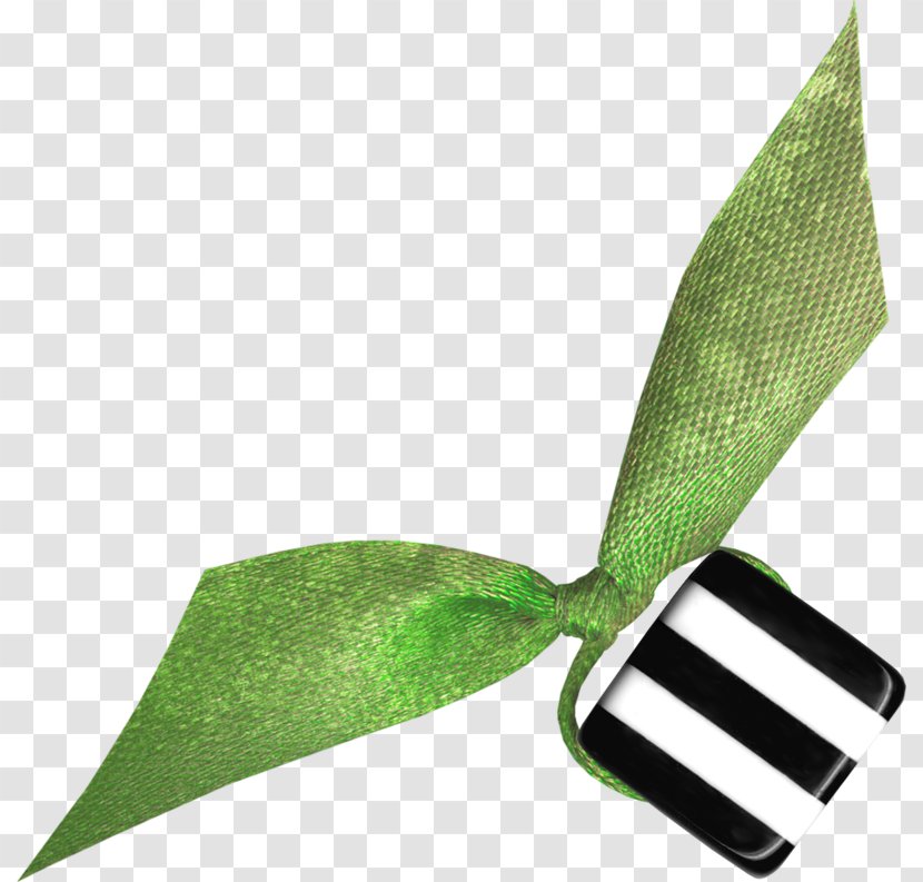 Leaf - Grass - Plant Transparent PNG