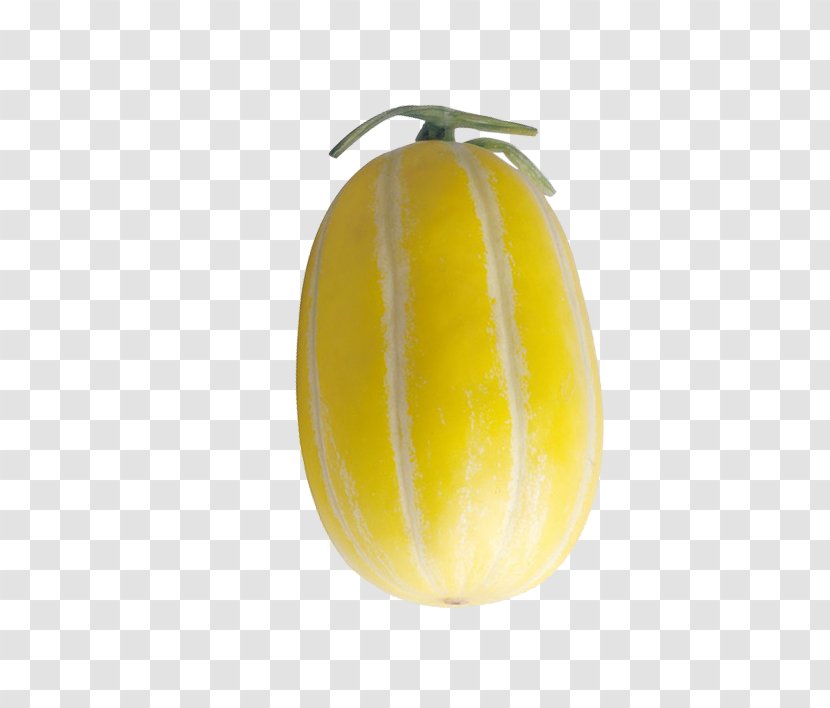 Cantaloupe Melon Winter Squash Fruit Cucurbita - Muskmelon Transparent PNG