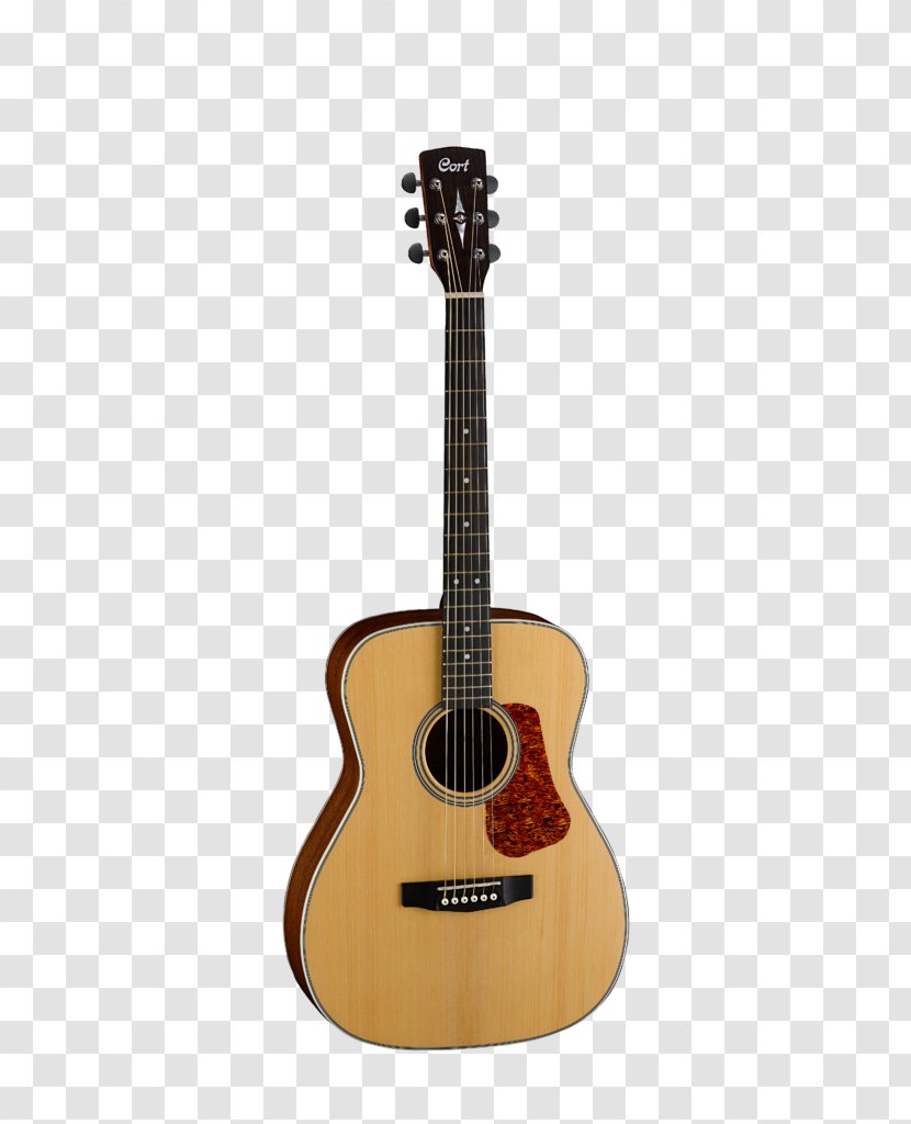 Acoustic Guitar Cort Guitars Musical Instruments Cutaway - Tree Transparent PNG