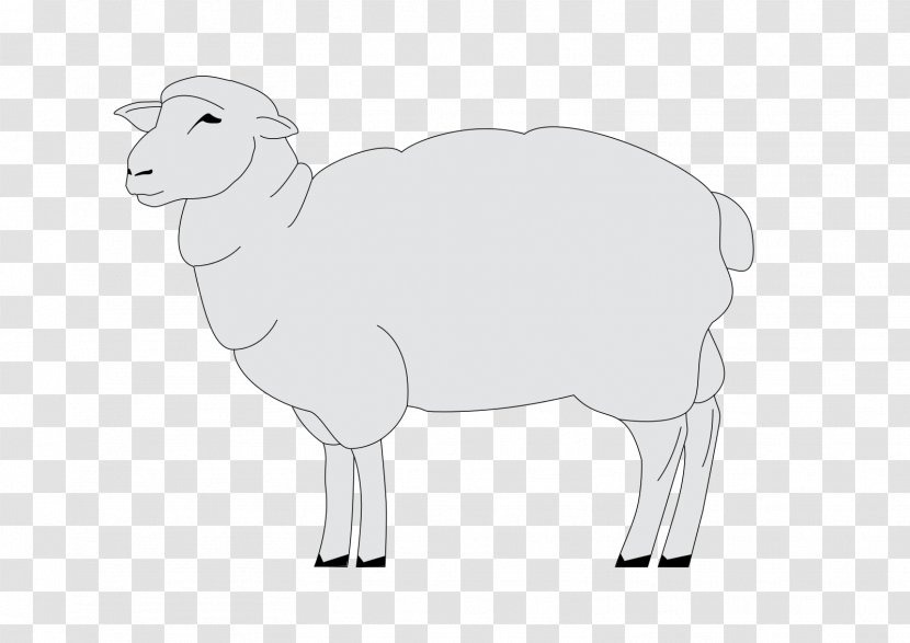 Sheep Cattle Goat Horse Mammal - Neck Transparent PNG