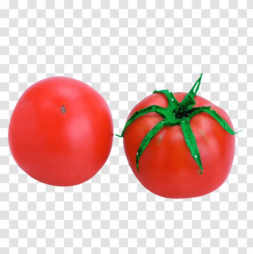 Tomato Vegetable Eating Food Melon - Auglis Transparent PNG
