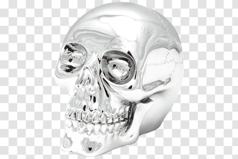 Skull Resin Casting Jaw Price - Bone Transparent PNG