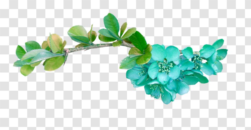 Turquoise Blue Red Color - White - Flower Transparent PNG