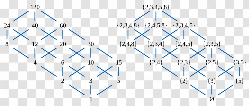 Hasse Diagram Partially Ordered Set Lattice Divisor - Distributive Property Transparent PNG