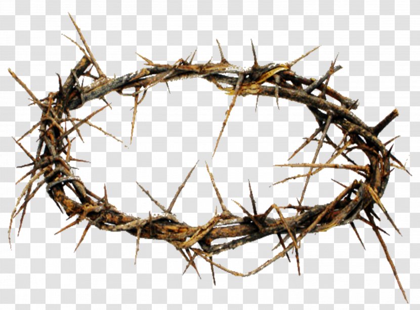 Crown Of Thorns Thorns, Spines, And Prickles Christianity Crucifixion Jesus - Branch - Easter Transparent PNG