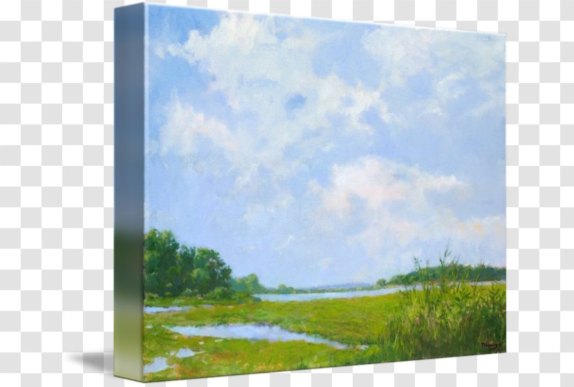 Painting Acrylic Paint Gallery Wrap Picture Frames - Grassland Transparent PNG