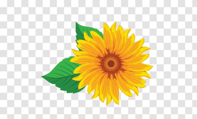 Common Sunflower Seed Oil Transvaal Daisy Cut Flowers - Ukrainian Unity Day Transparent PNG