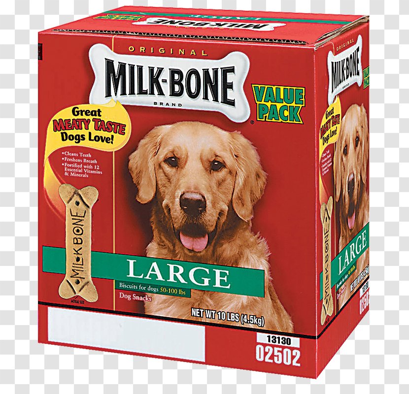 Golden Retriever Milk-Bone Puppy Dog Food Biscuit Transparent PNG