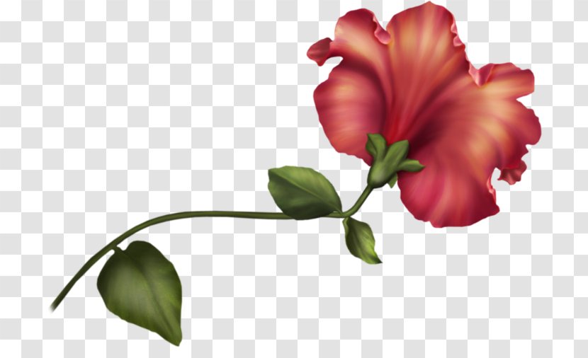 Border Flowers Petal Desktop Wallpaper Clip Art - Bud - Flower Transparent PNG