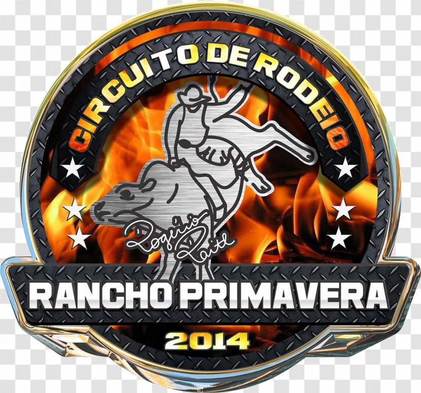 Cattle Rodeo Circuito Rancho Primavera Bullfighting - Professional Bull Riders - Rodeio Transparent PNG