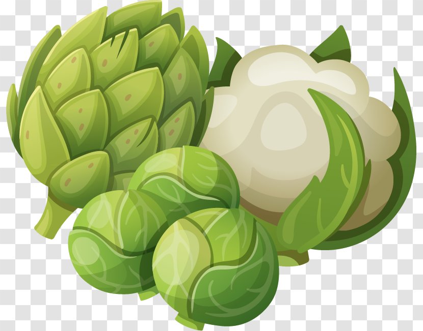 Download Vegetable - Turnips Cauliflower Vector Material Transparent PNG