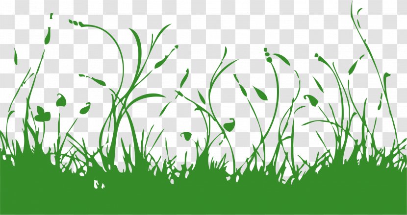 Vector Graphics Euclidean Illustration - Sweet Grass Transparent PNG