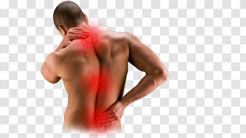 Middle Back Pain Low Human Management Sciatica - Tree - Joint Relief Transparent PNG