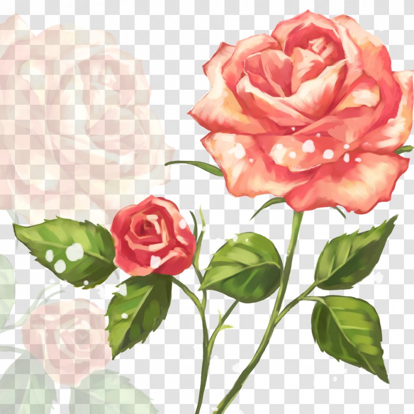 Garden Roses Flower Clip Art - Rose Family Transparent PNG