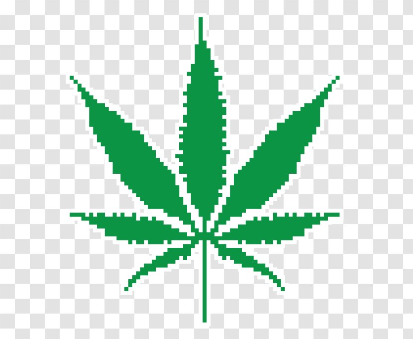 Cannabis Sativa Legality Of Marijuana Medical - Plant Stem Transparent PNG