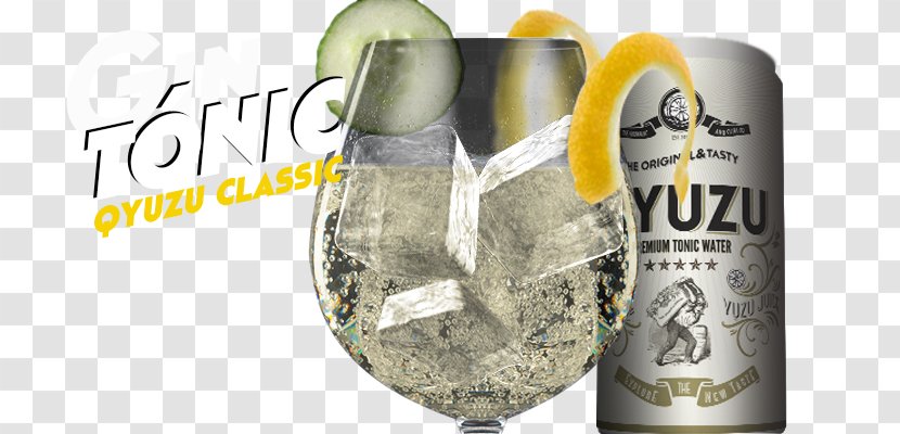 Tonic Water Gin And Drink Mixer Dictionary Liqueur - Bottle Transparent PNG