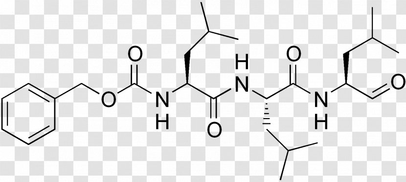 MG132 Proteasome Inhibitor Ubiquitin Cell - Frame - Acid Transparent PNG