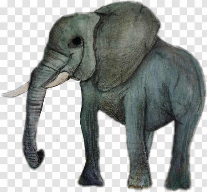 Indian Elephant African Drawing Animal - Snout - Australia Animals Transparent PNG