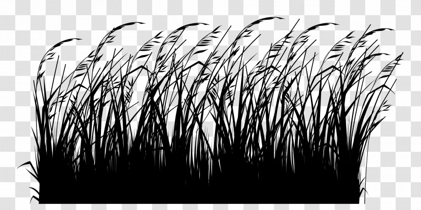 Le Jardinage Facile Ornamental Grass Switchgrass Gardening Winter - Family - Spring Transparent PNG