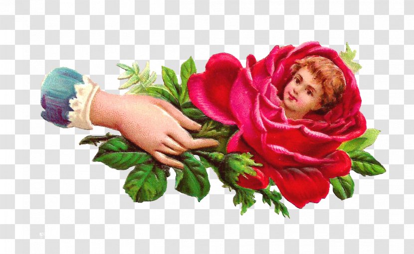 Victorian Era Roses In A Bowl Flower Clip Art - Rose Order Transparent PNG