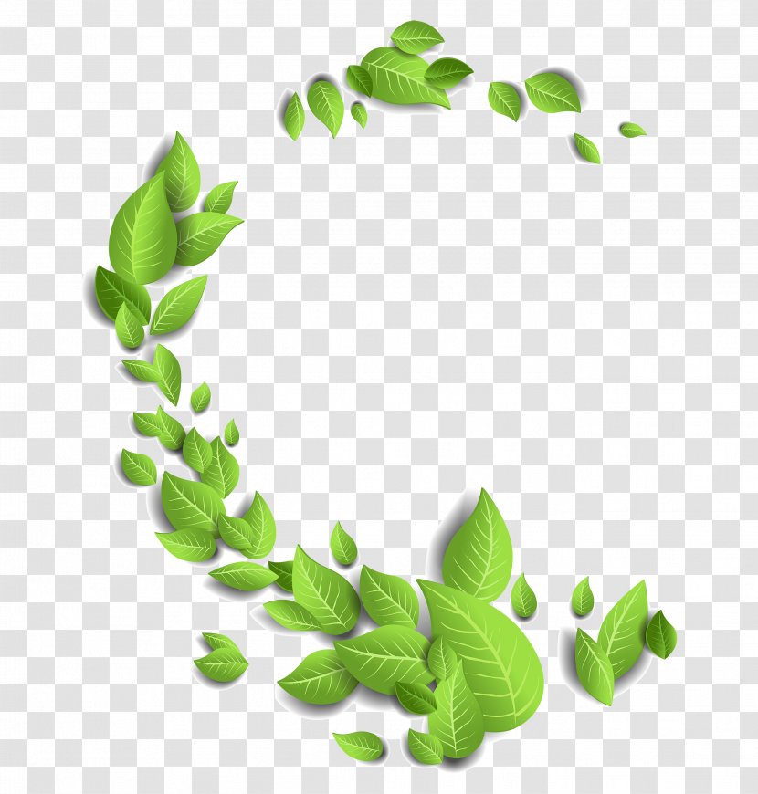 Leaf - Grass - Green And Fresh Leaves Floating Material Transparent PNG
