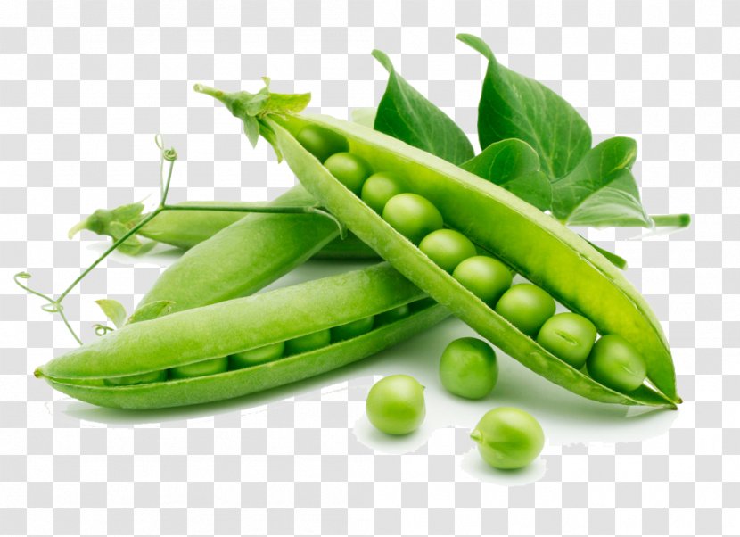 Snow Pea Vegetable Freezing Food Bean - Legume Transparent PNG