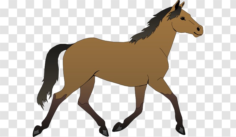 Horse Foal Pony Colt Clip Art - Fauna - Cliparts Transparent PNG