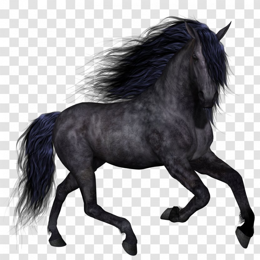 Horse Pony Clip Art - Black And White - Dark Transparent PNG