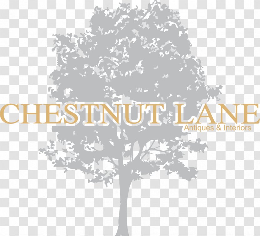 Chestnut Lane Antiques & Interiors Antique Furniture Interior Design Services Transparent PNG