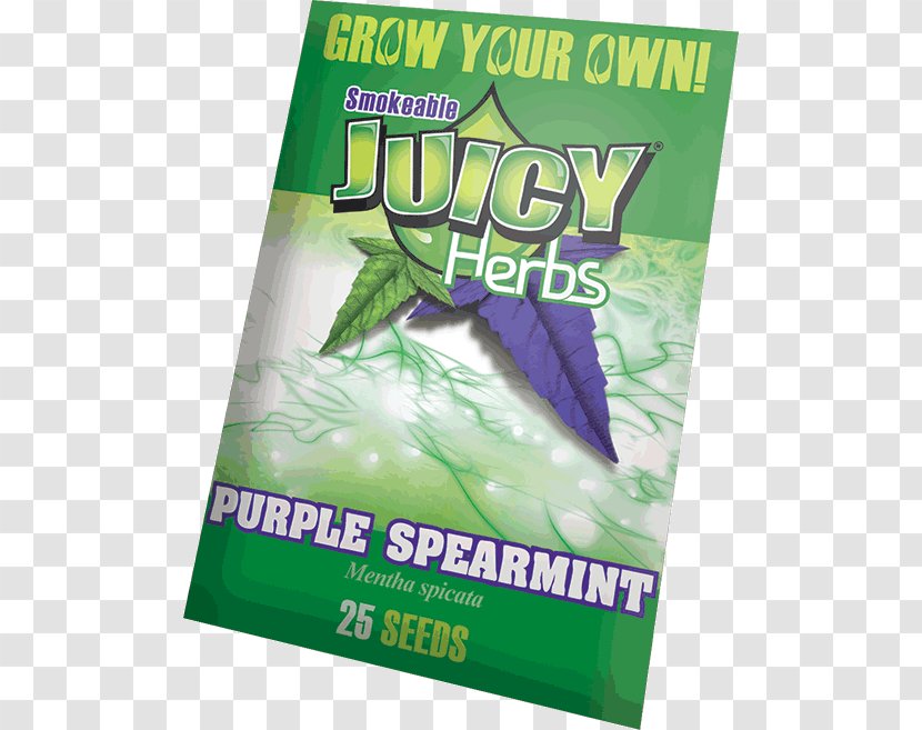 Green Herb Purple Mentha Spicata Transparent PNG