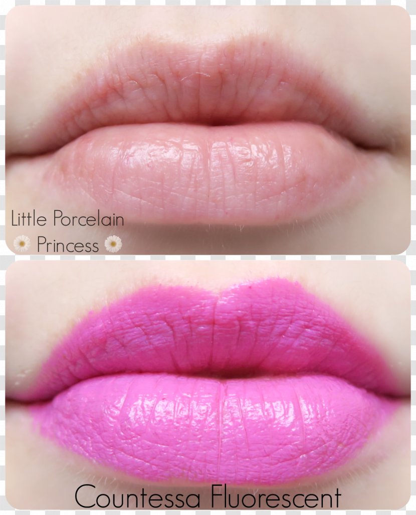 Lip Balm Lipstick Gloss Tony Moly Petite Bunny Bar - Formula Transparent PNG